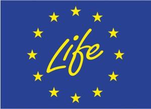 life_logo